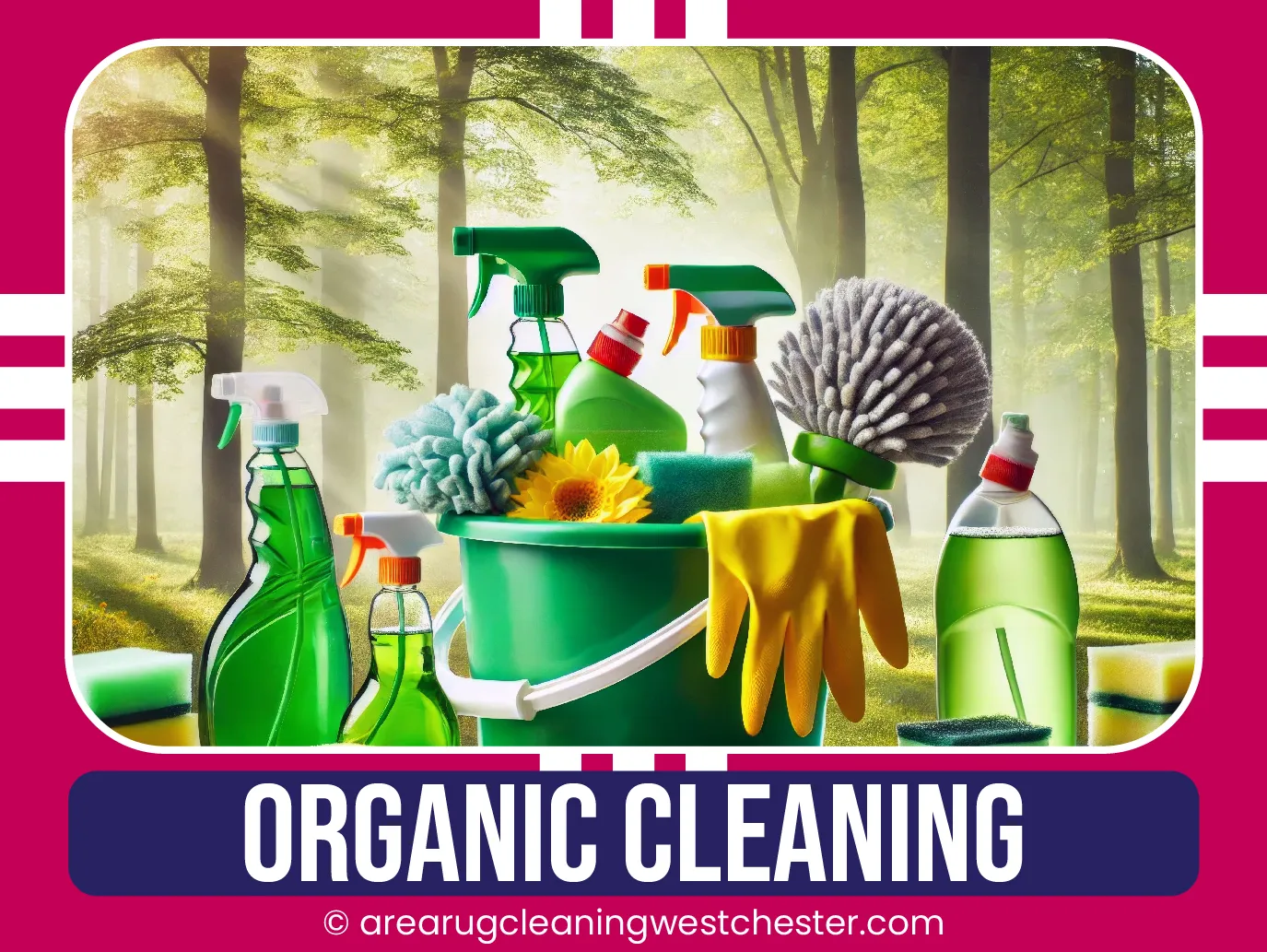 carpet cleaning in Westchester, carpet cleaning in Westchester, carpet cleaning Westchester, carpet cleaners in Westchester, carpet cleaners in Westchester, commercial carpet cleaning, commercial carpet cleaning in Westchester, Westchester rug cleaners, rug cleaning services in Westchester same day carpet cleaning, same day rug cleaning